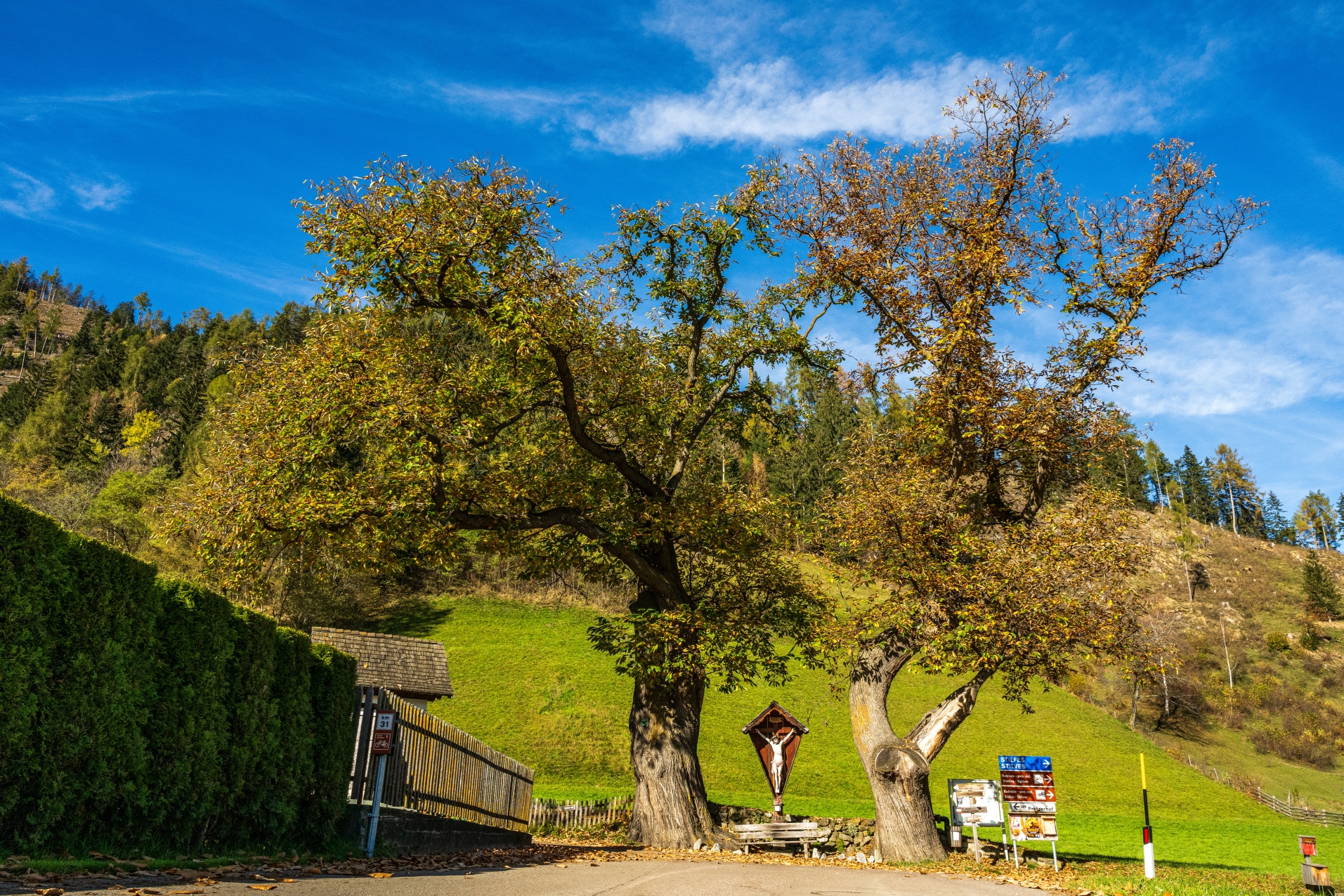 Kräftige Farben, die einladen, einen Tag in der Südtiroler Natur zu verbringen. Foto: Tourismusgenossenschaft Sterzing Pfitsch Freienfeld - Guus Reinartz