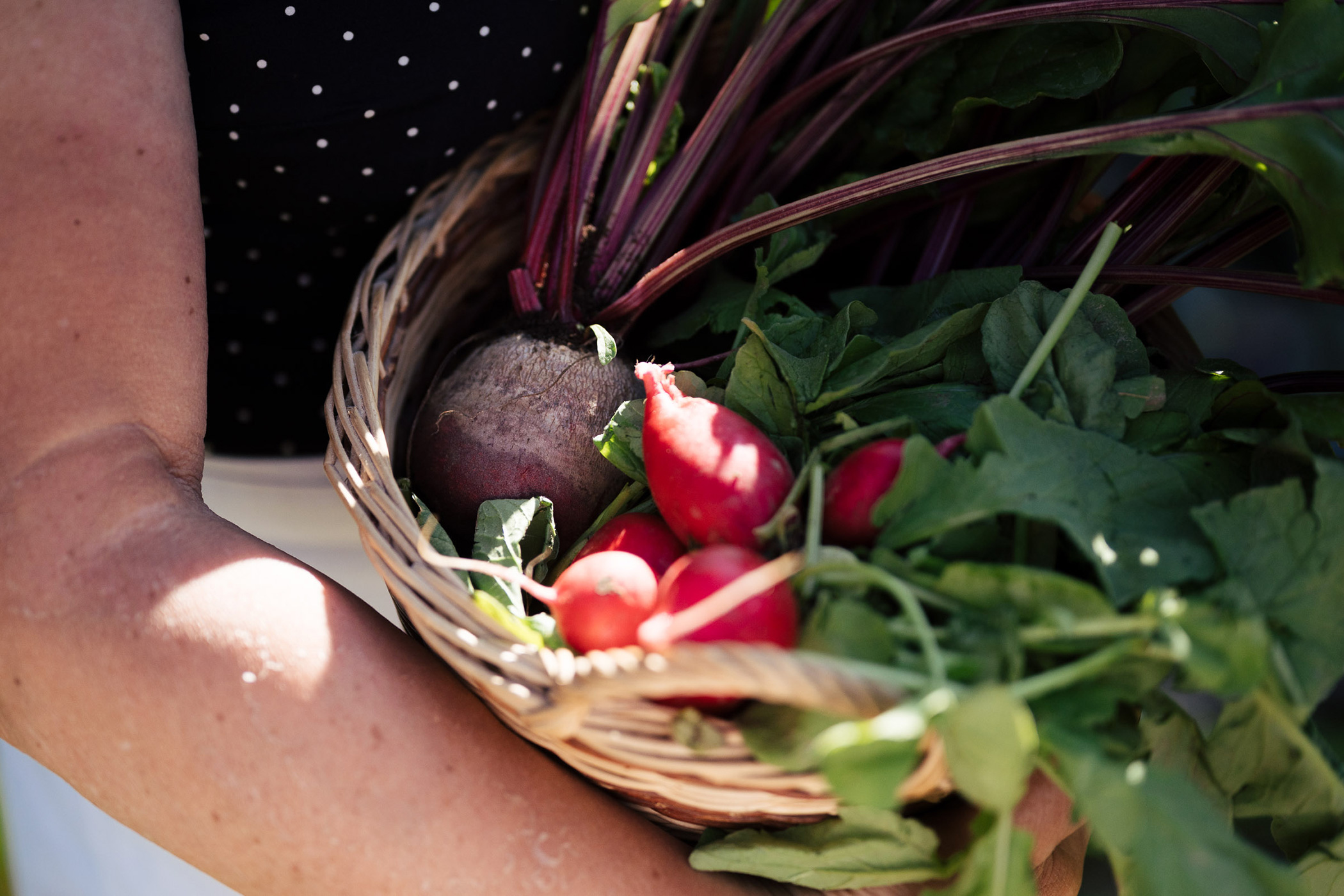 Harvest