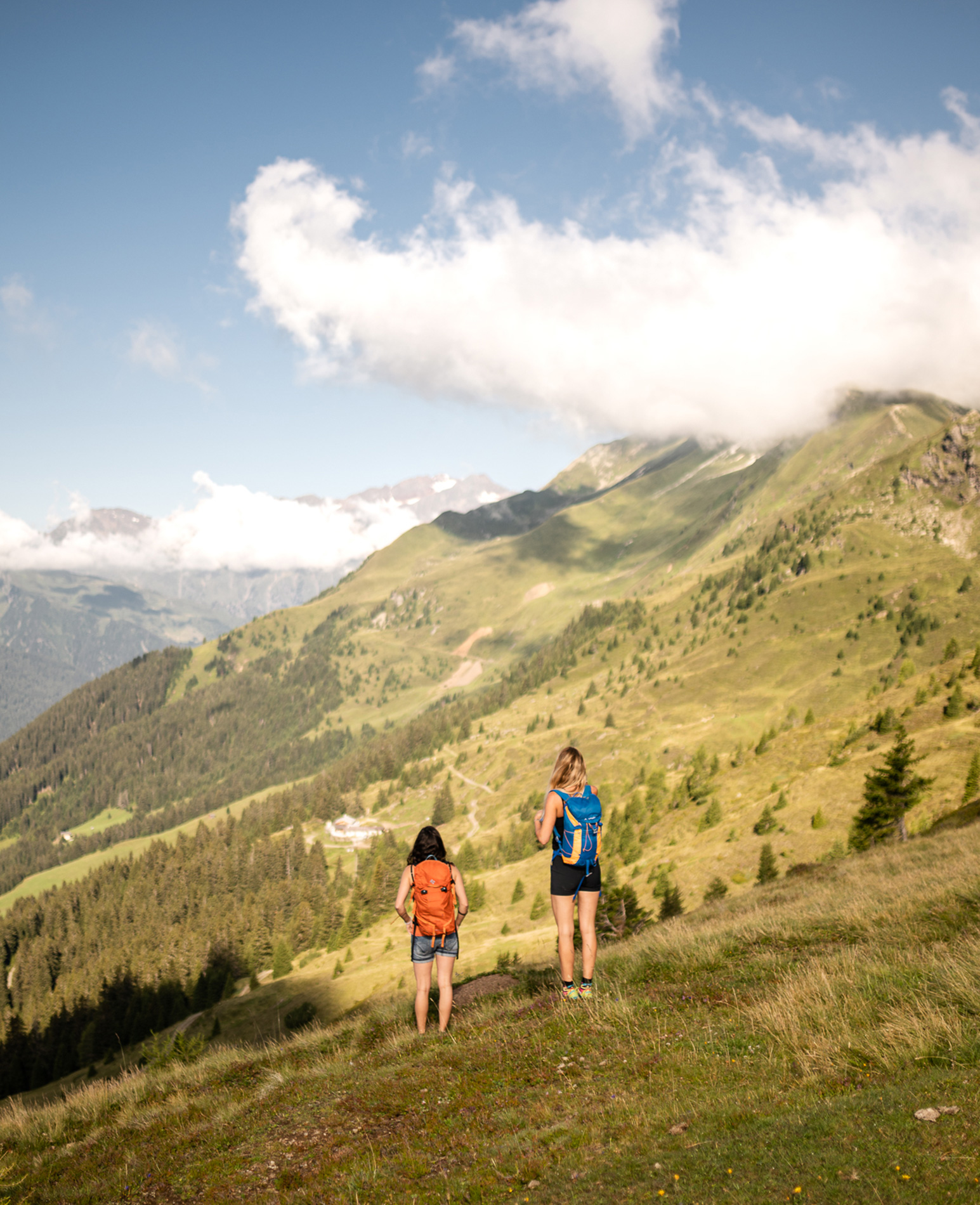 Consiglio - vacanze estive